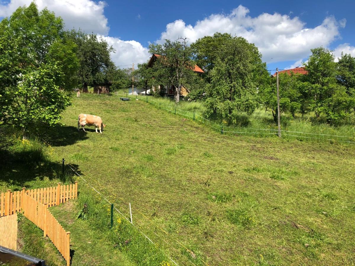 Ferienwohnung Fam. Unterberger Bad Goisern Kültér fotó